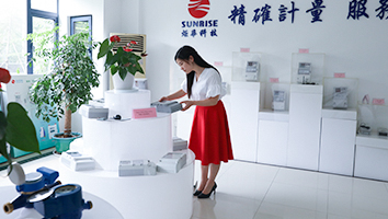 參觀(guān)炬華電能表